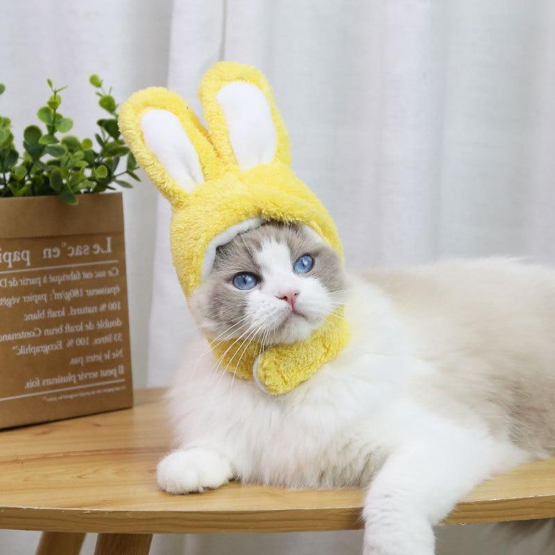 RabbitHat™ - Accessoire de déguisement pour chat - Chats Malins