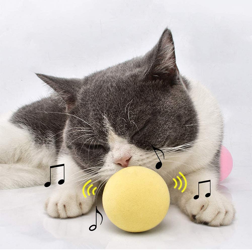 SmartBall™ - Balle intelligente d'apprentissage pour chat - Chats Malins